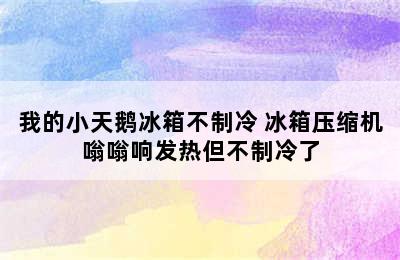 我的小天鹅冰箱不制冷 冰箱压缩机嗡嗡响发热但不制冷了